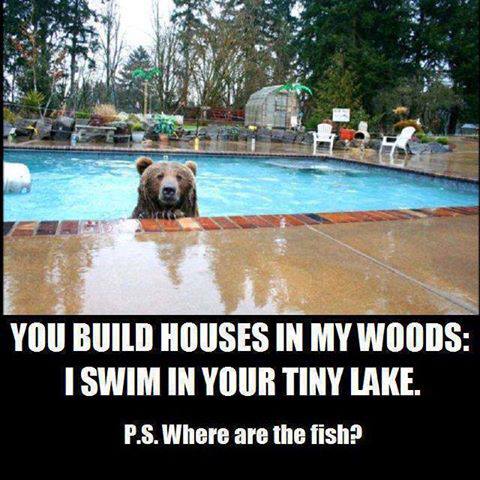 999438_502902556458853_1626124860_n