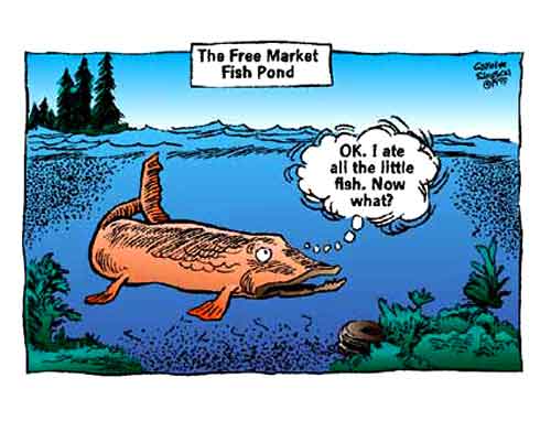 cs_freemarket_fishpond